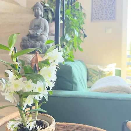 Villa Boho Holistic House - Forest, Yoga Massage *